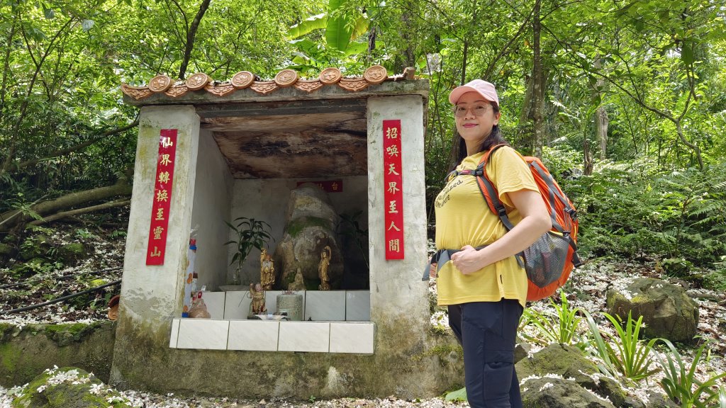 (姨婆趴趴走)第八集:攀登大艽芎古道、頭寮山，桃園五月限定的桐花_2167766