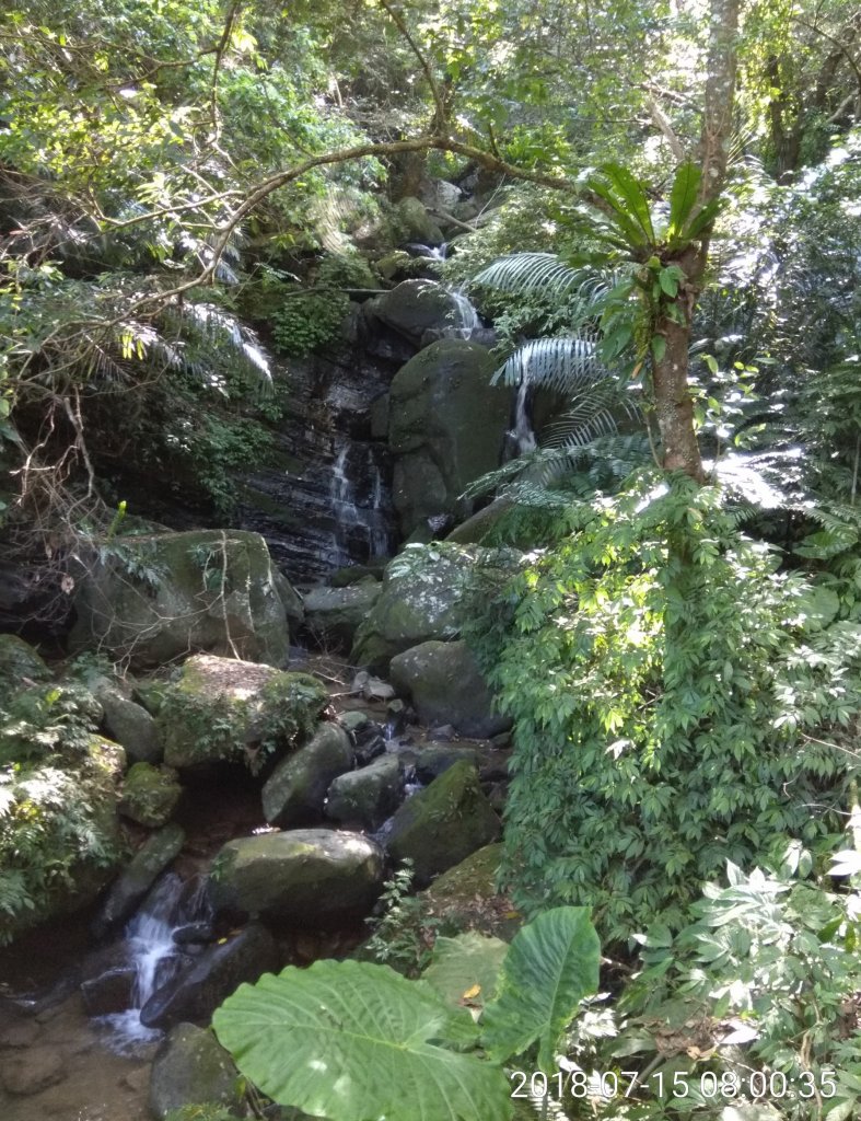 銀河洞、鵝角格山、待老坑山107.7.15(日)_454668