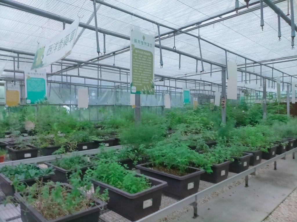 內雙溪自然中心步道(台北小溪頭_2812130