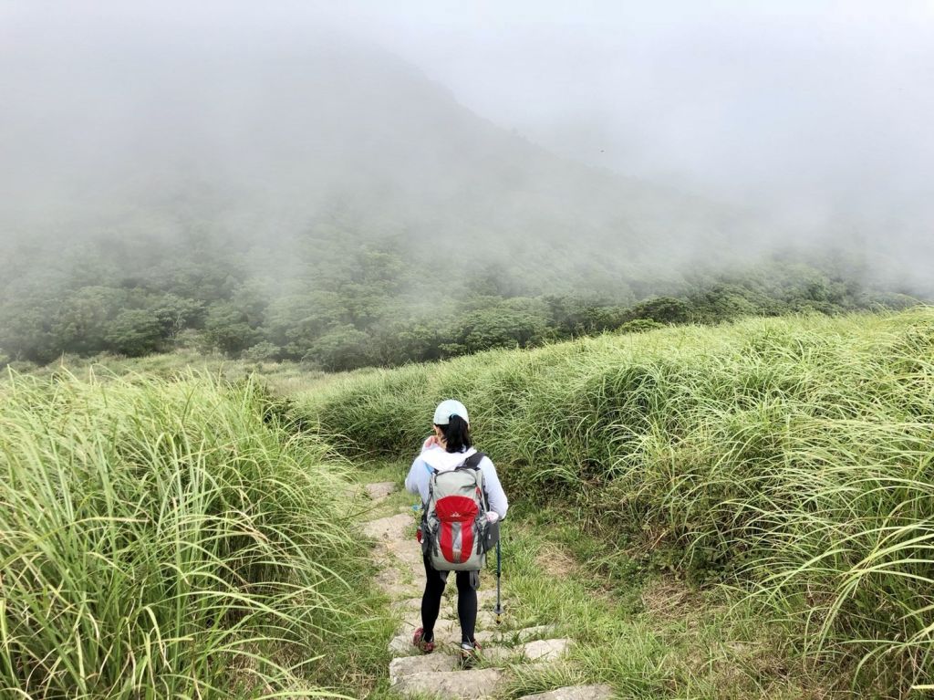 20180608向天山面天山向天池_354069