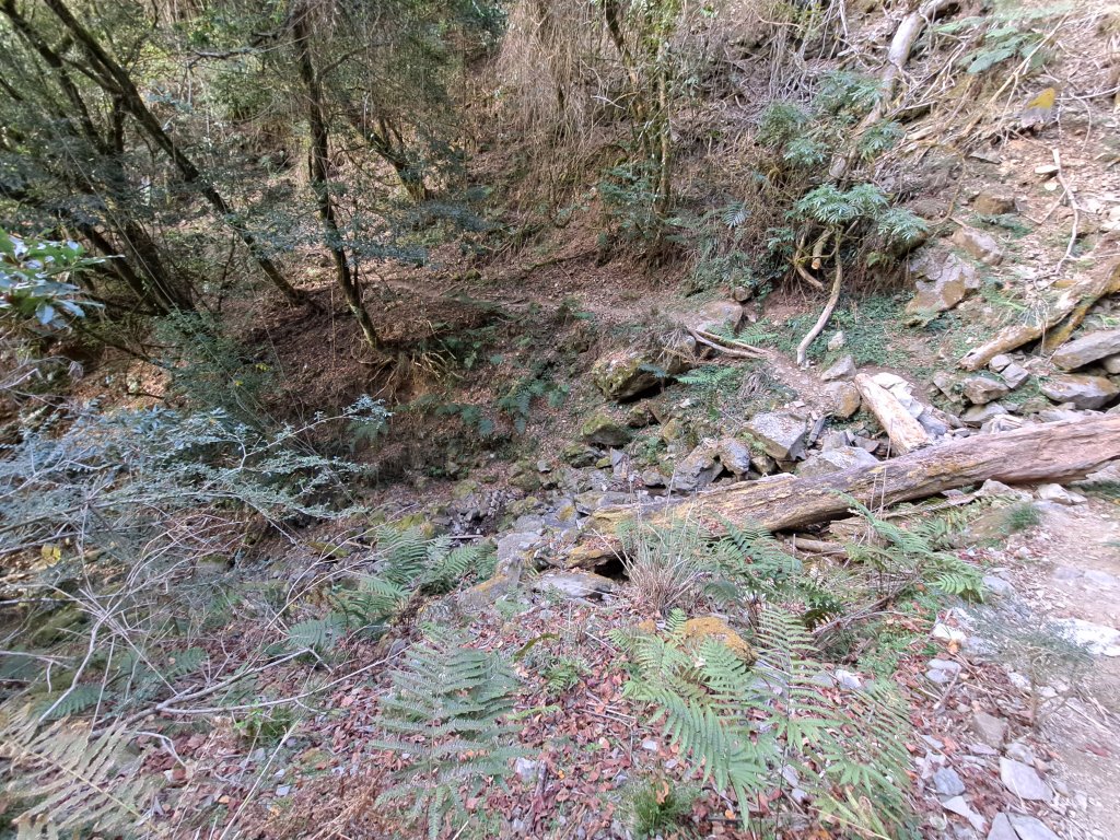 一日白雪村_2039700