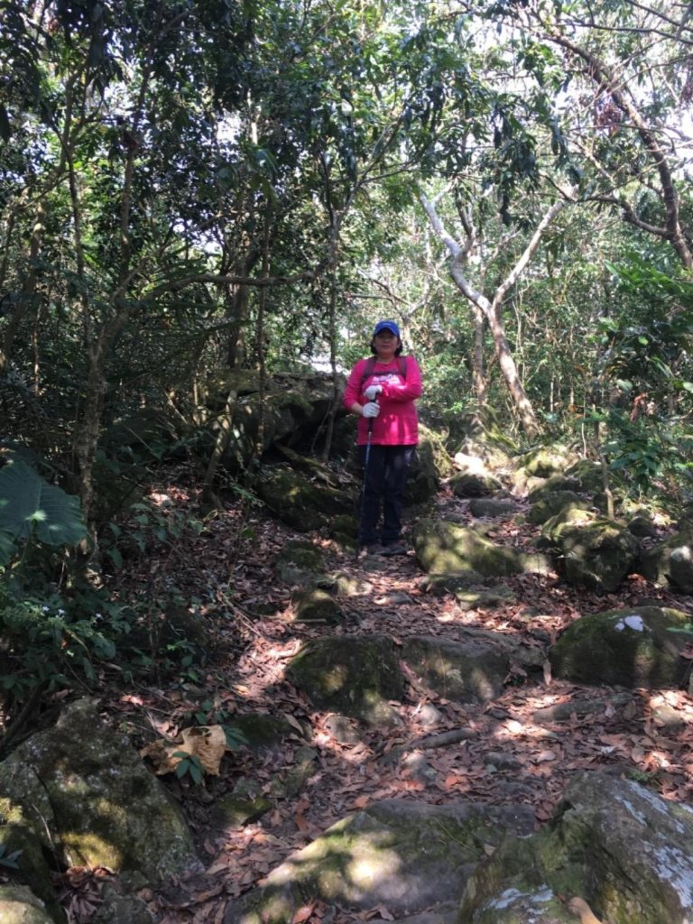 龍麟山步道_464164