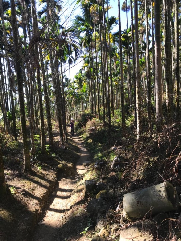 樟腦寮車站上獨立山奉天岩泡茶煮泡麵大巃頂看群峰美景_469913
