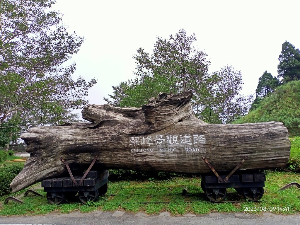 宜蘭太平山 - 檜木原始林步道、鐵杉林自然步道（2-2 太平詩路至翠峰景觀道路）【走路趣尋寶】_2245306