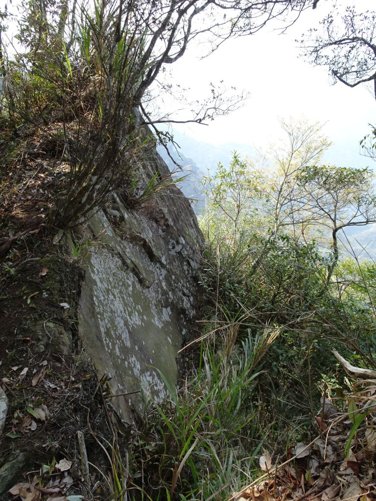 雲林小百岳2座完登記錄_316971