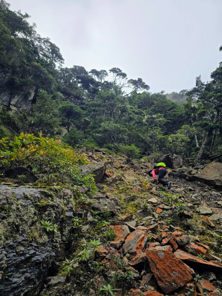 20240913 東霸尖山出北稜_2614344