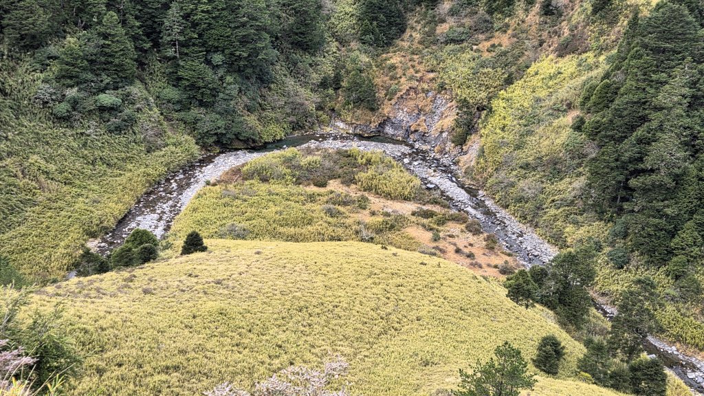 貼近山林來走個稍微不一樣風景的合歡山_2989427