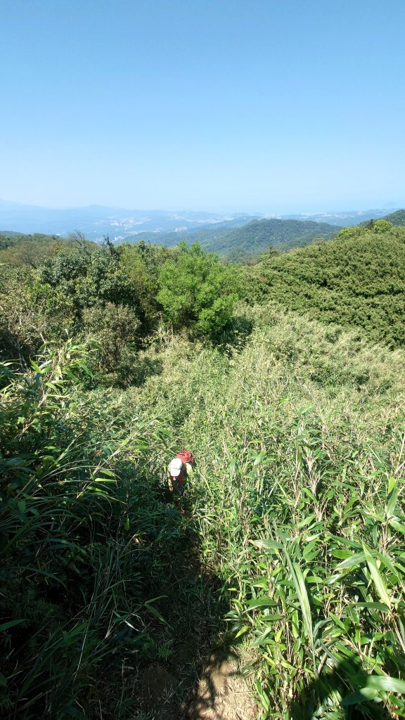 春天鮮綠的呢喃基隆荖寮坑古道上望古山登五分山O型_2747299