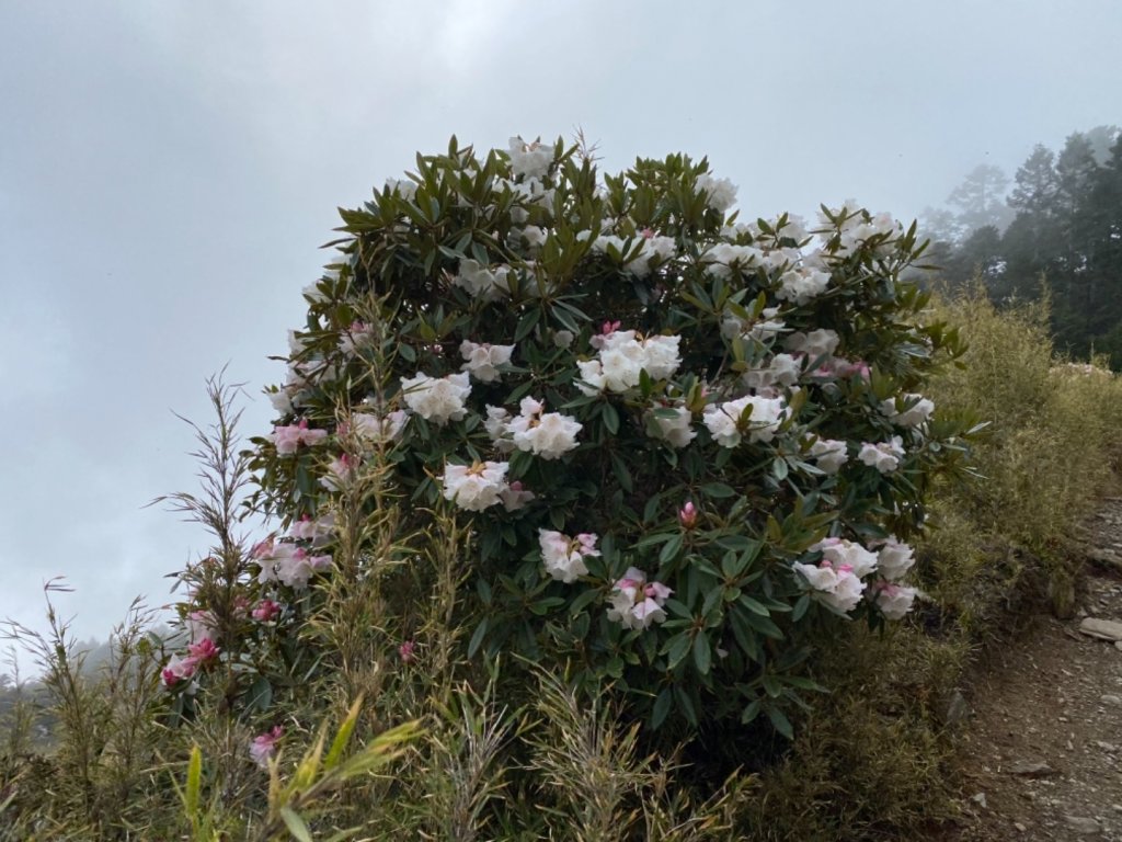 一日志雪_1406516