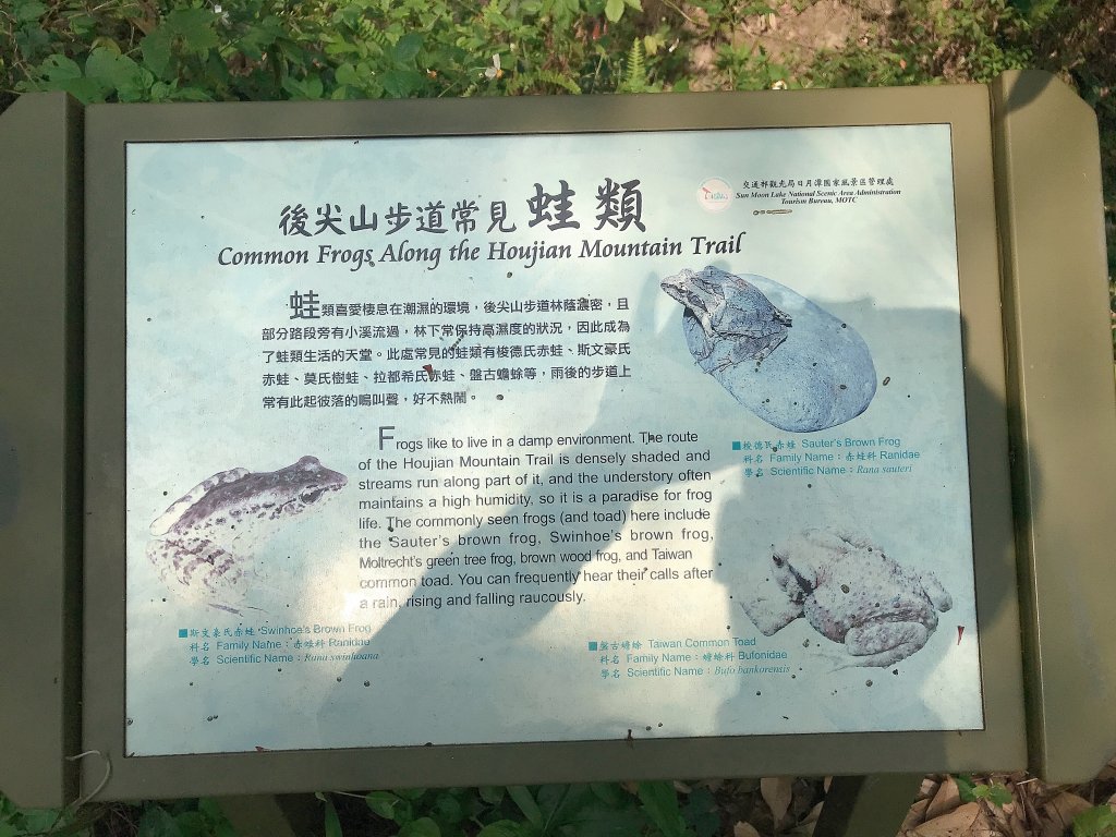 ~  後尖山步道  ~_1635765