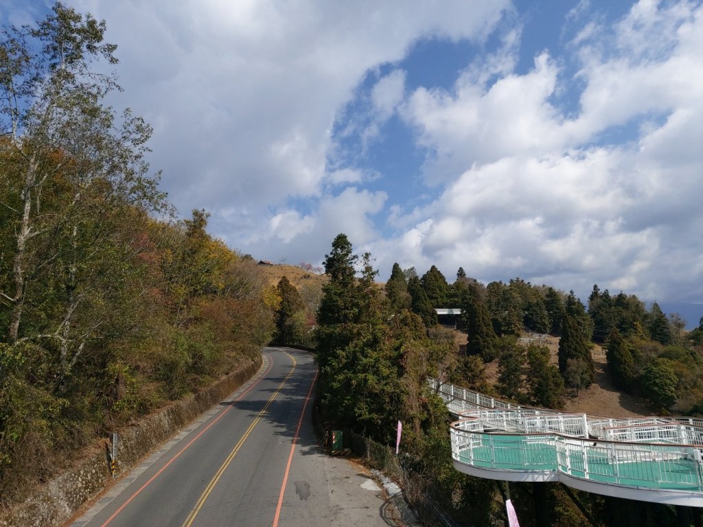 1090208清境農場&高空觀景步道_830456