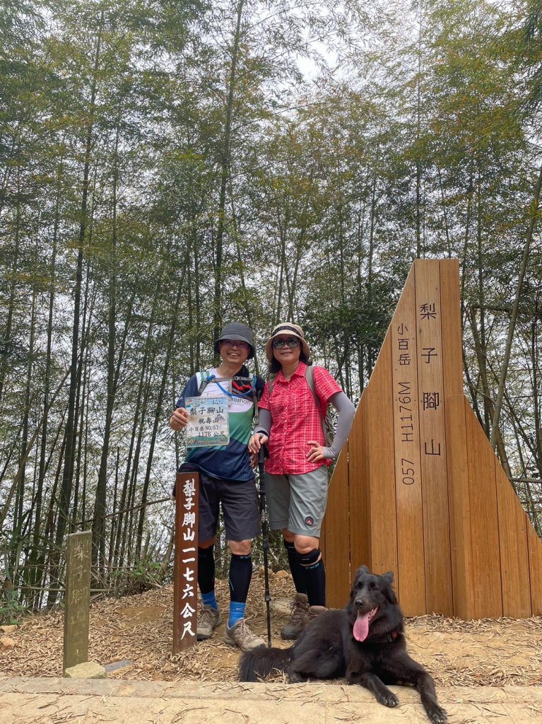 230416-小百岳#057 梨子腳山。18禁-竟能在茶樹上偶遇黑線黃尺蛾。美美兔O繞走成8字。_2117335