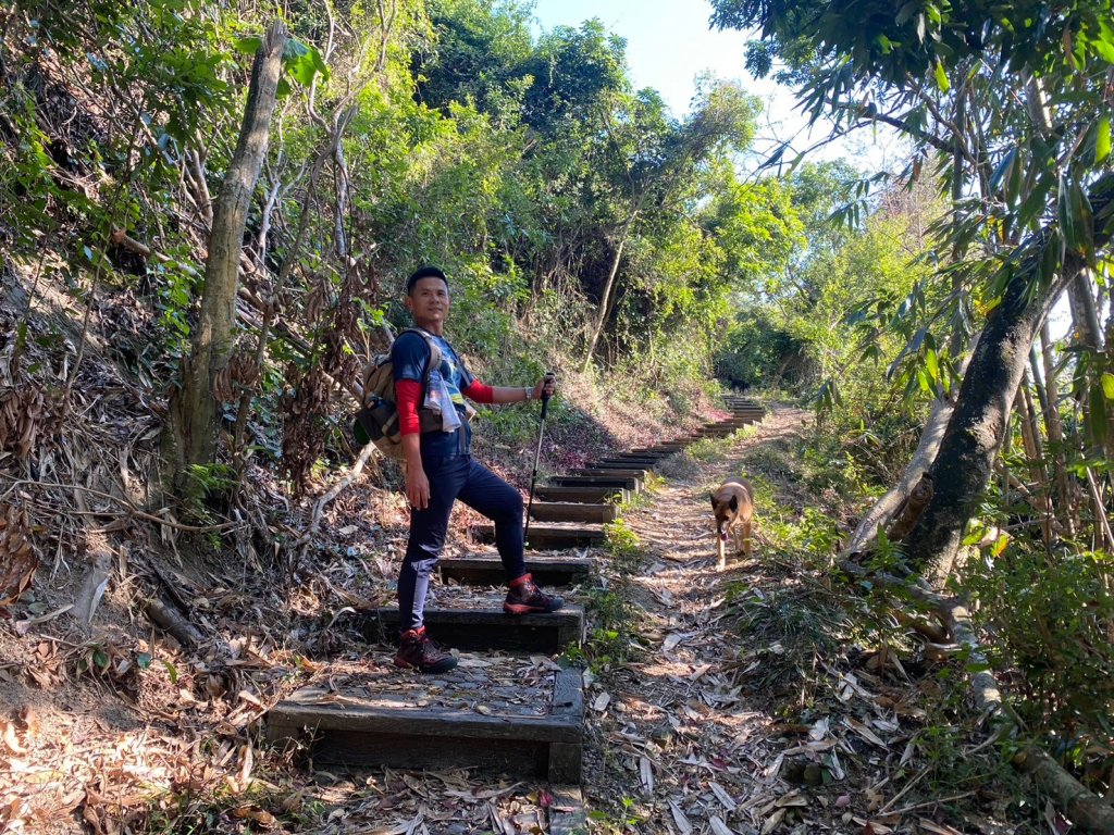 風櫃斗.牛稠坑.二坪山古道【遙知不是雪，為有暗香來】_2703866