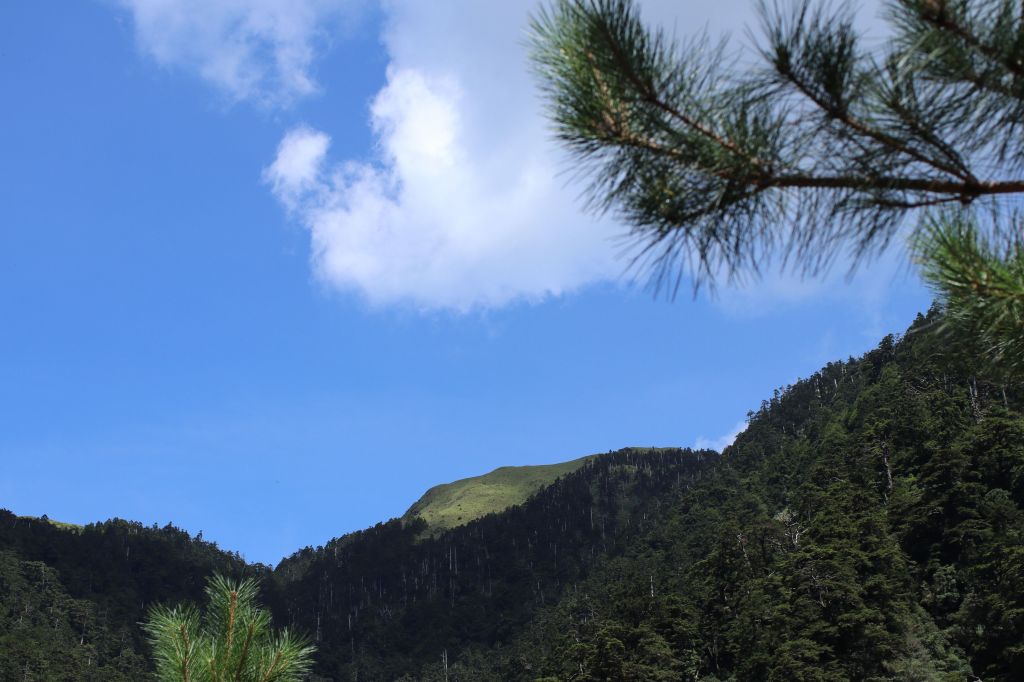 合歡溪步道健行_174516