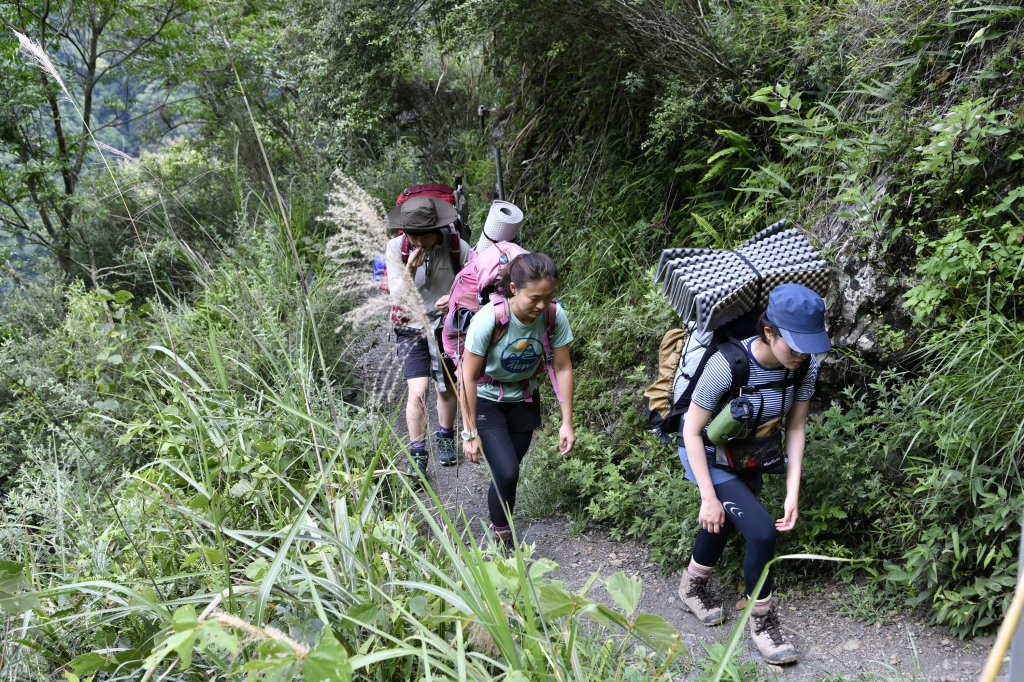 八通關上玉山_1025055