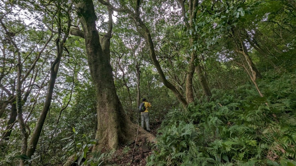 112.08.05湖山-紗帽山之旅_2240664