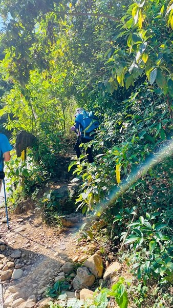 【屏東來義】屏東三大熱門登山路線之一。 小百岳集起來。 編號78小百岳-棚集山步道_1711595