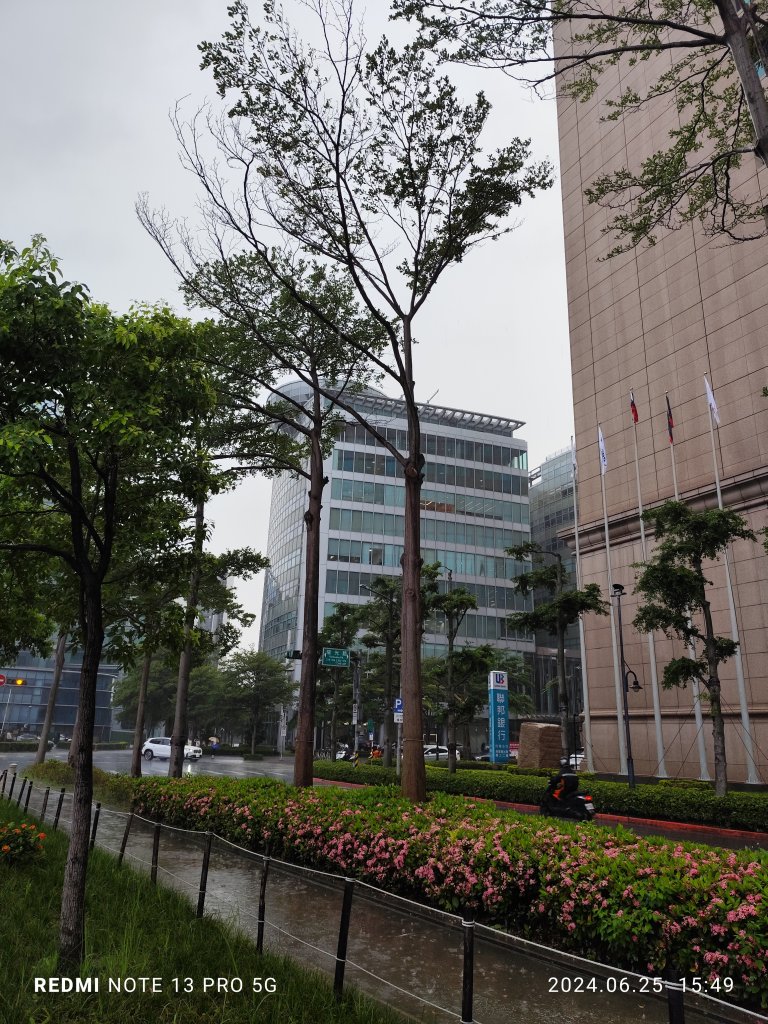 大安森林公園【走路趣尋寶】；大港墘公園、瑞陽公園【臺北健走趣】_2535143