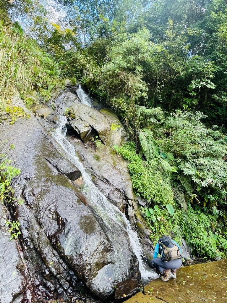 1141116油羅山_2946463