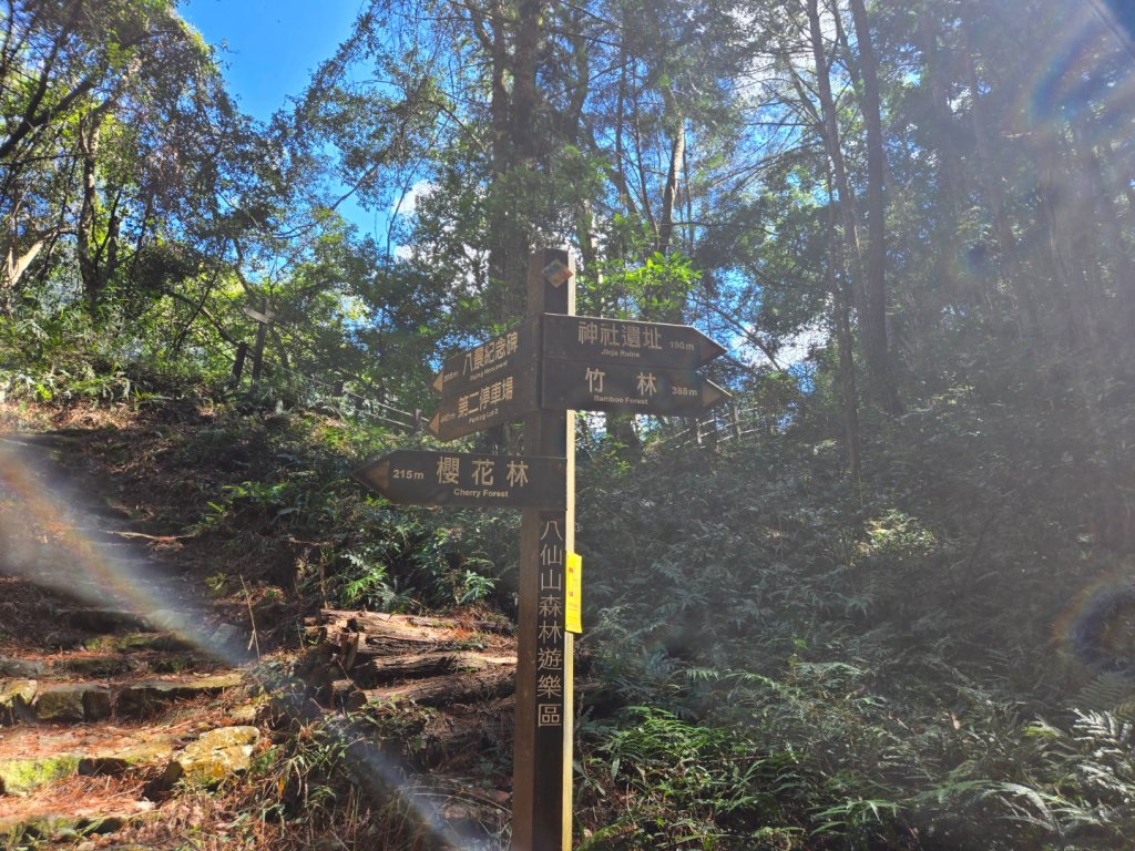 八仙山森林遊樂區、佳保台山_2712687