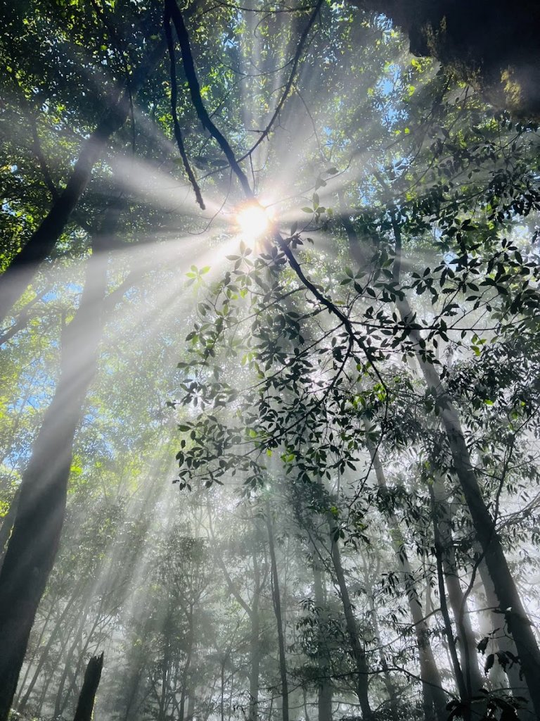 鳶嘴拍完照濃霧就來了_1857851