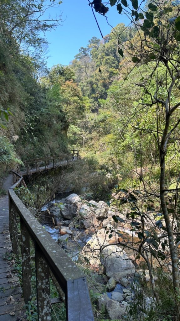 裡冷上唐麻丹O繞+蝴蝶谷_2742928