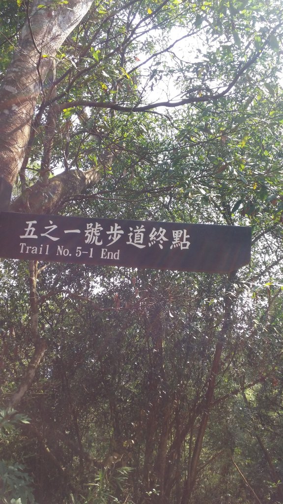 大坑5-1步道~頭嵙山三角點_872041