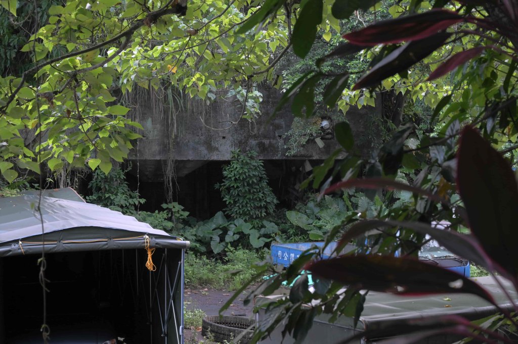 20251202松山療養所所長宿舍-新庄仔埤賞鳥平台-松山二坑-松山煤礦-松山機場觀景台_2952809