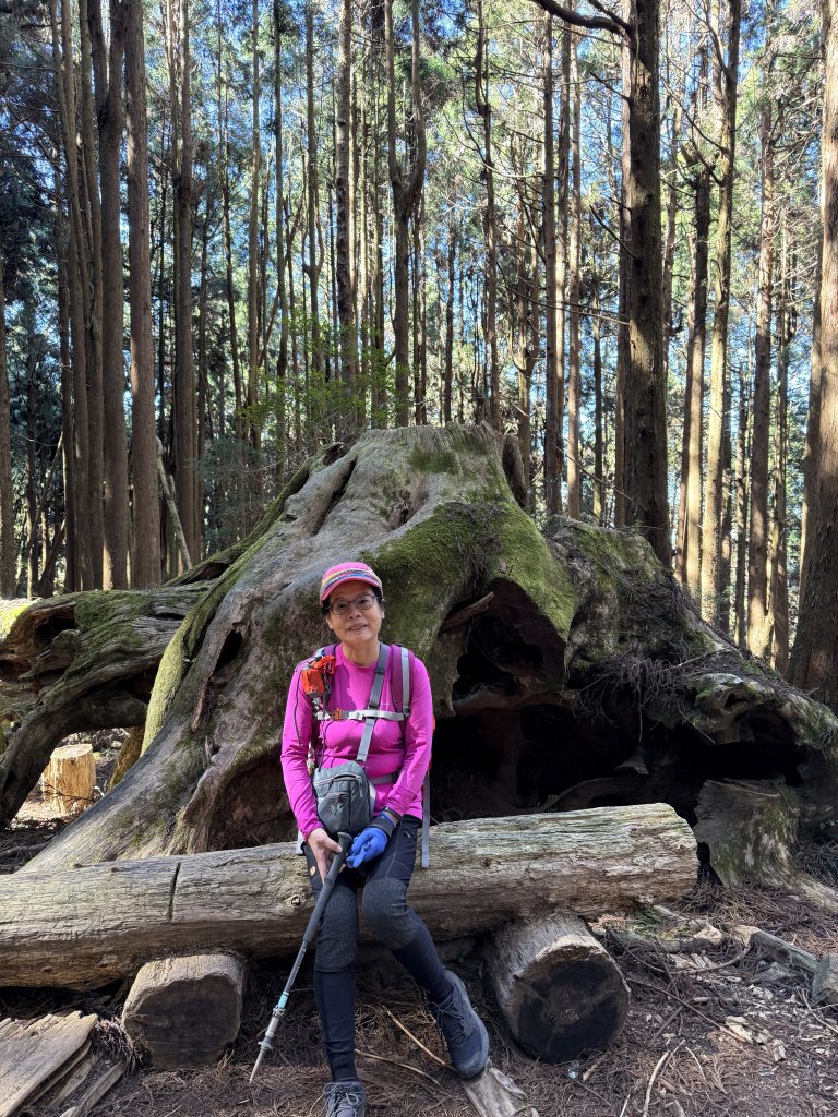特富野古道_2666646