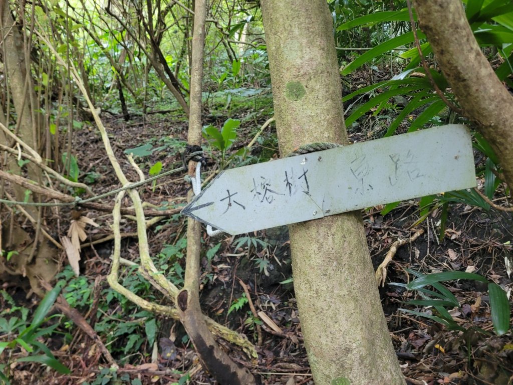 20230819觀音山十九連峰8字縱走_2255091