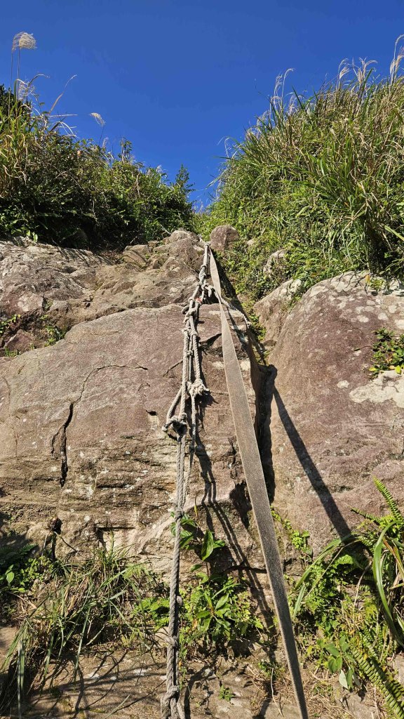 20260115基隆山主東峰_2982657