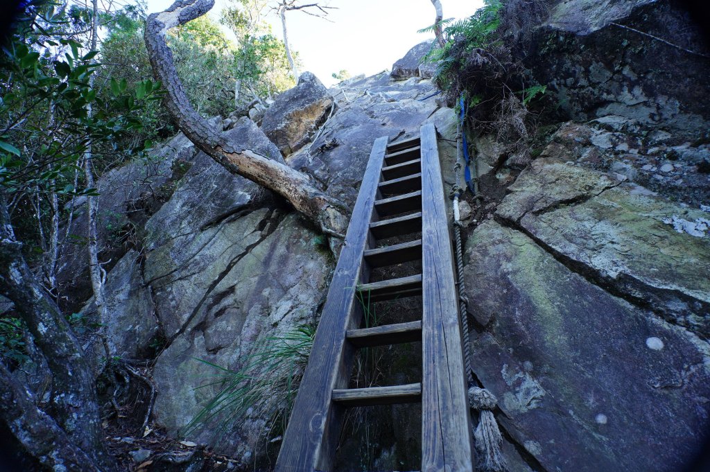 台中 和平 鳶嘴山_2926858
