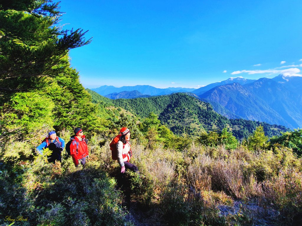 【塔塔加六山】眺望玉山最美稜線_1234919