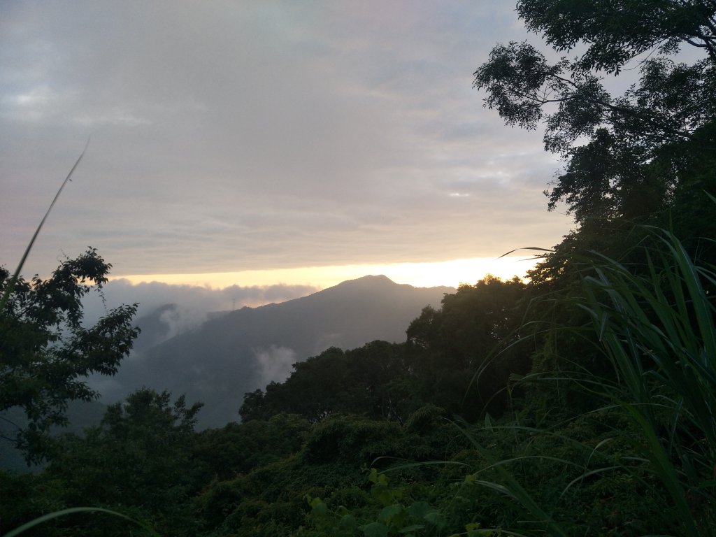 東眼山自導式步道_1714437