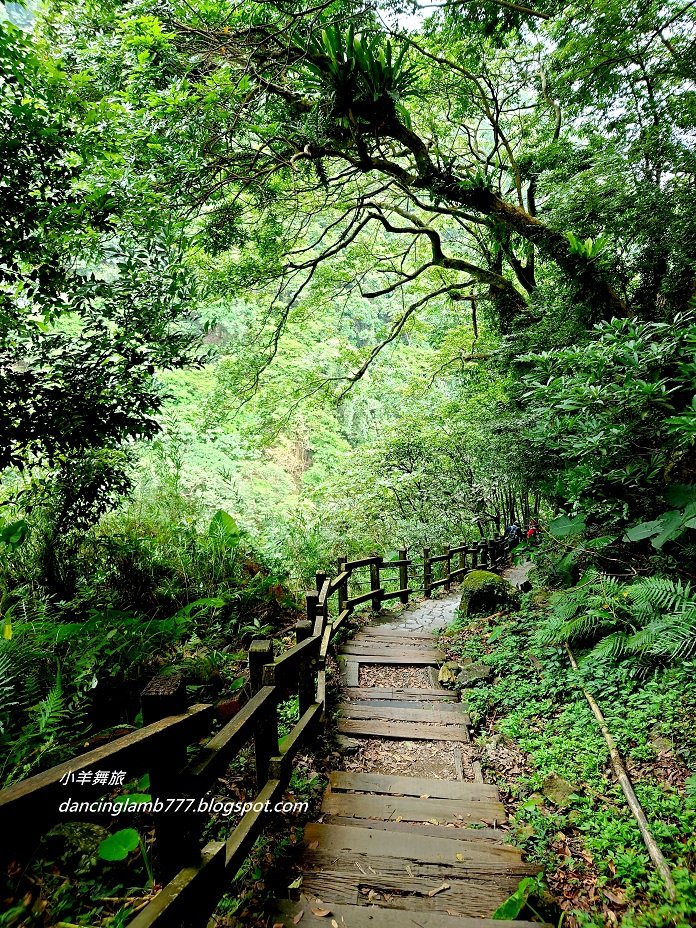 【嘉義】獨立山步道~ 火車、鐵道、山洞、吊橋一次滿足_1811589