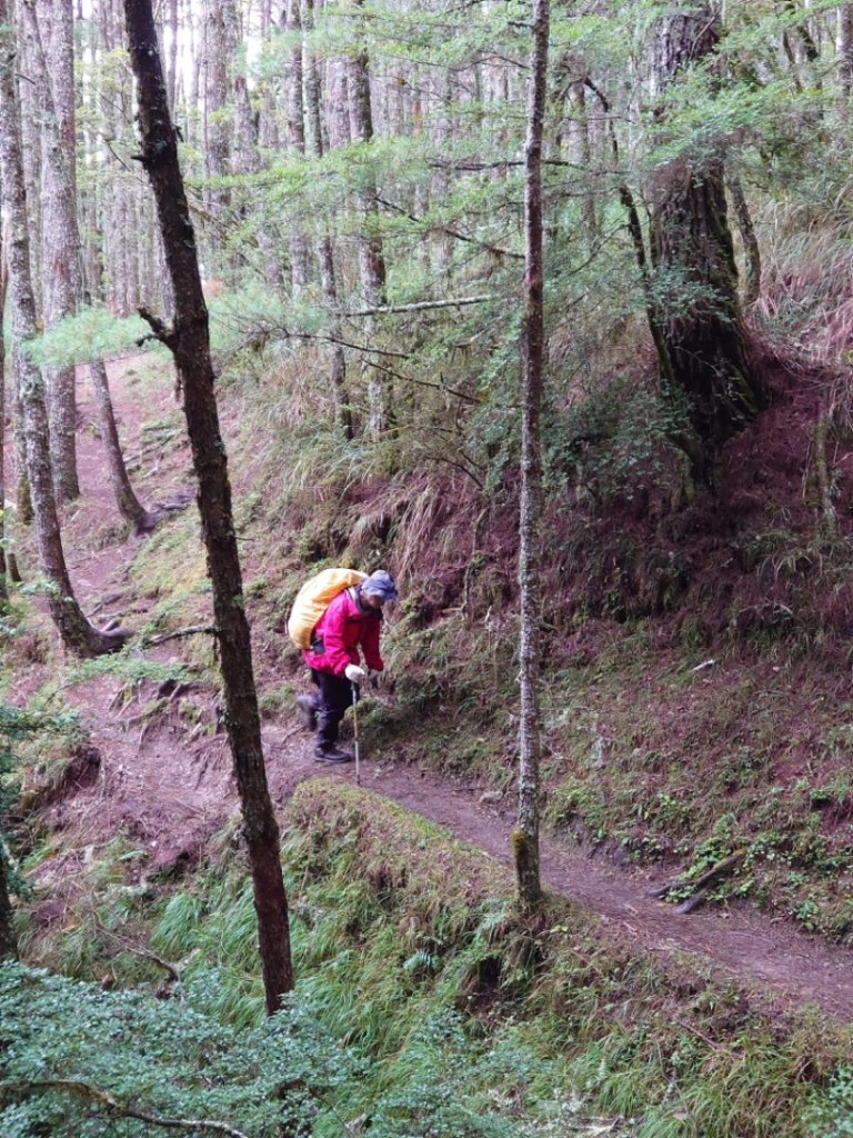南湖大山主峰東峰三日_792106