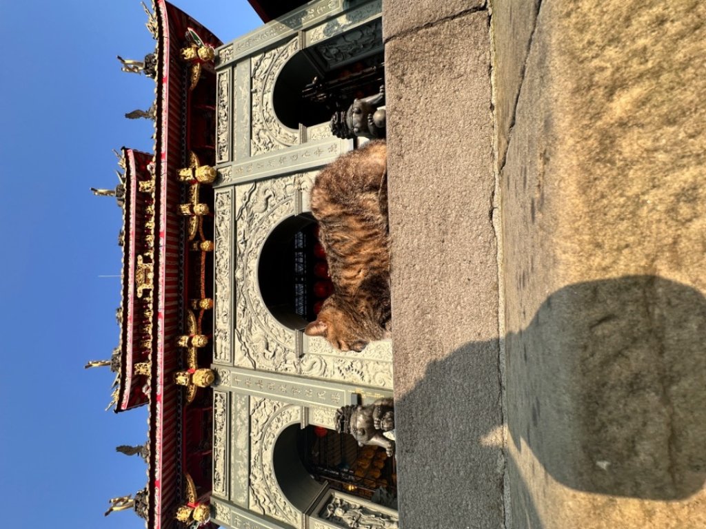 2024台北大縱走第七段_2448161