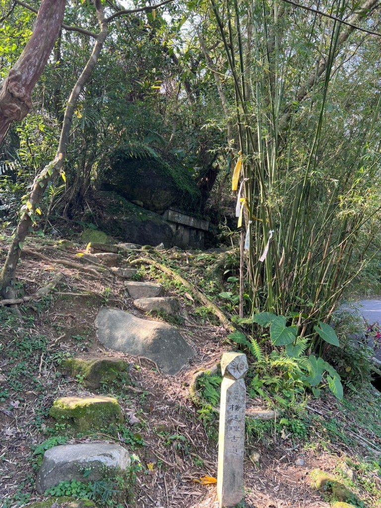 2025-01232淡蘭古道北二段(燦光寮古道到澳底)_2696725