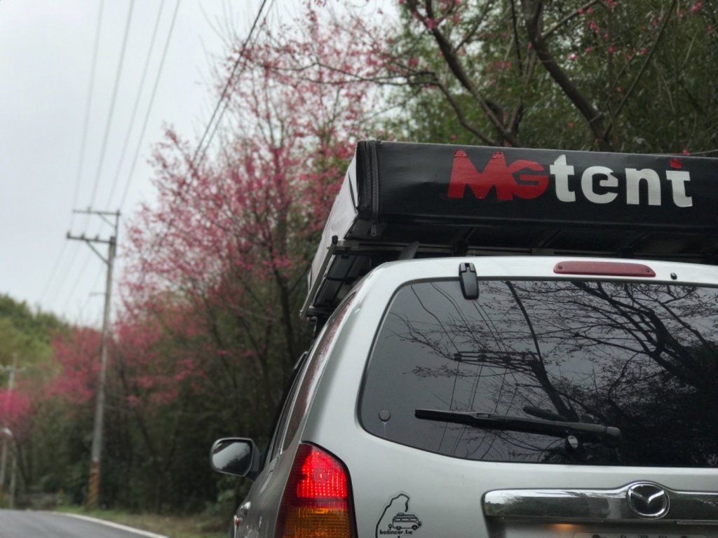 東眼森林遊樂區慢活樂趣封面圖