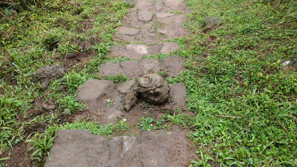 20200118 大溝溪到風櫃嘴_817982