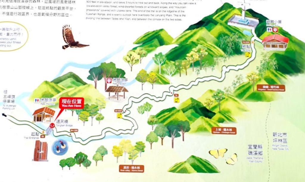 【中級山】宜蘭抹茶山（三角崙山），聖母登山步道，五峰旗瀑布_2741059