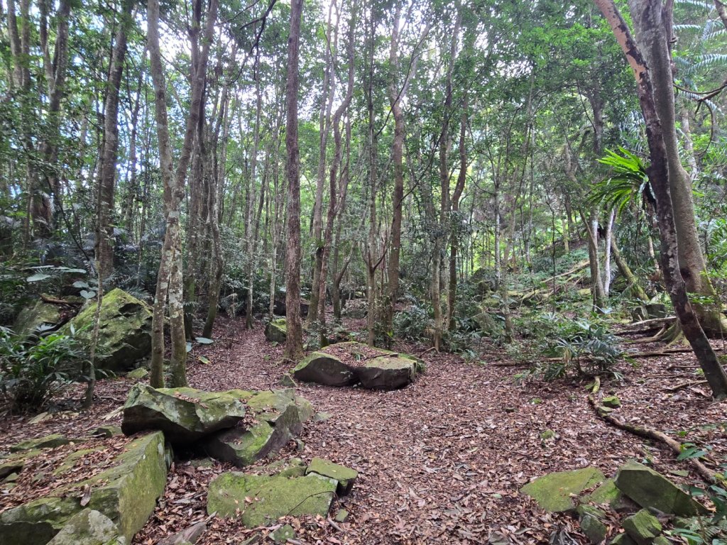 水雲三星～上島山（鳥嘴山）_2931240