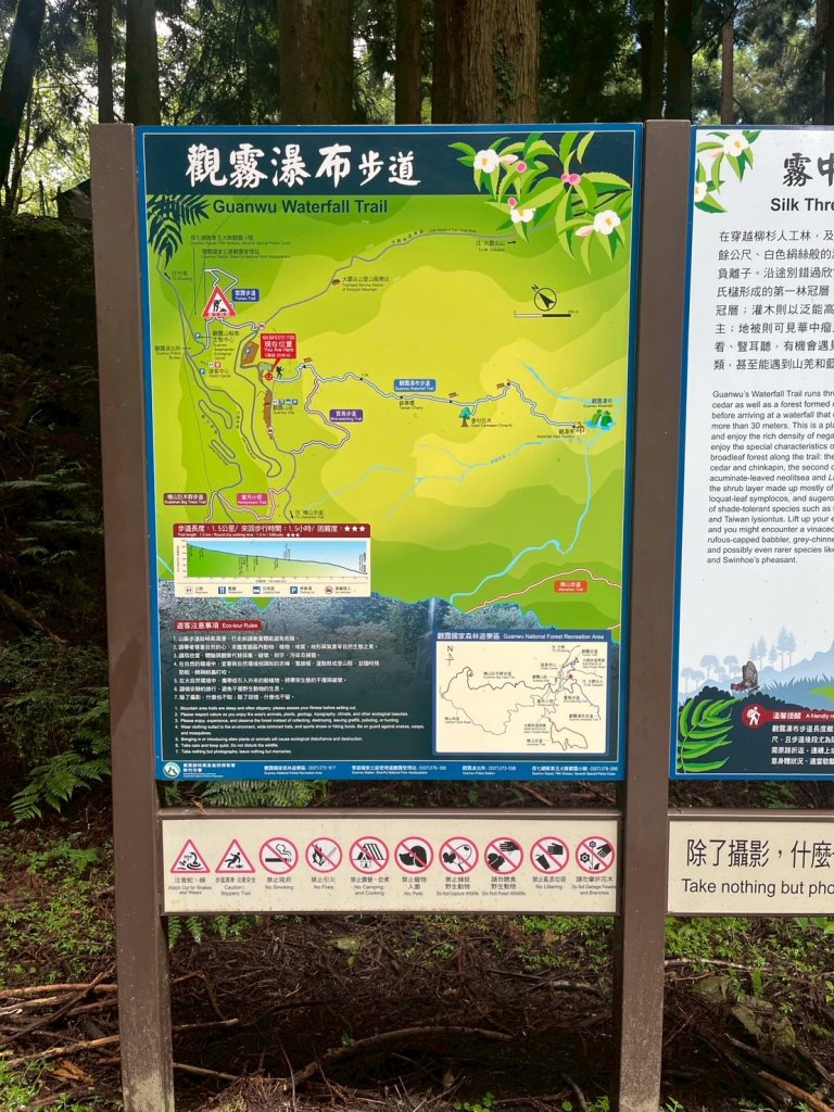 新竹 五峰 觀霧國家森林遊樂區 觀霧瀑布步道+賞鳥步道_2811420