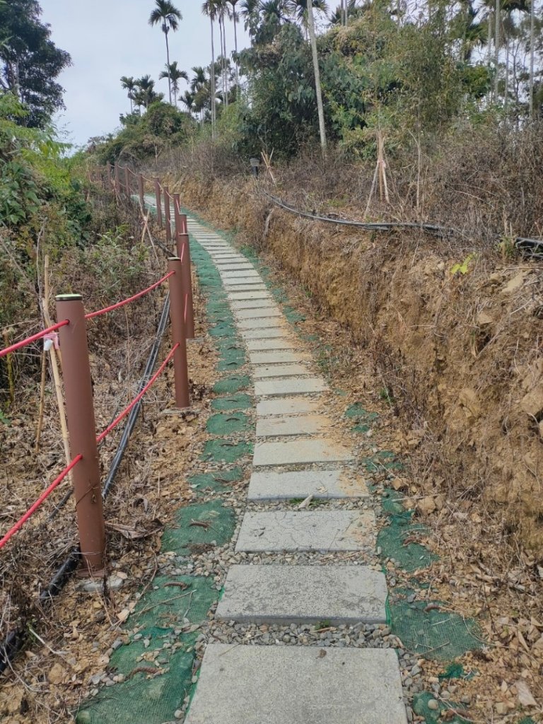 嘉義［阿拔泉山稜線步道］+太平雲梯_2235721