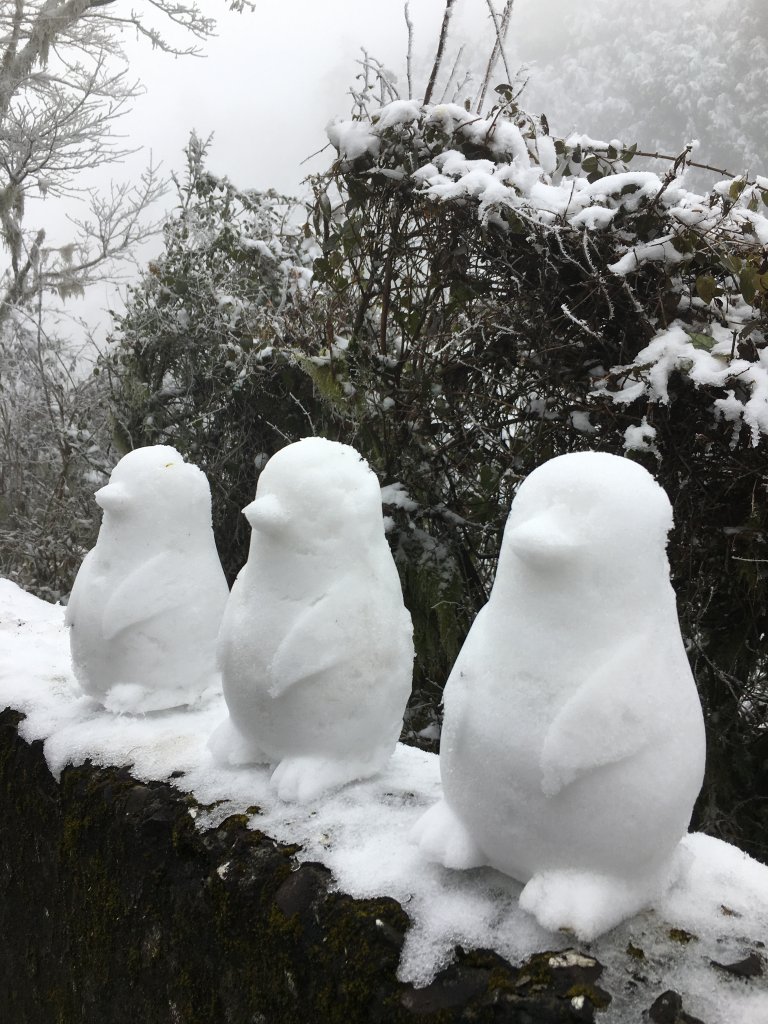 思源埡口賞雪_1235435