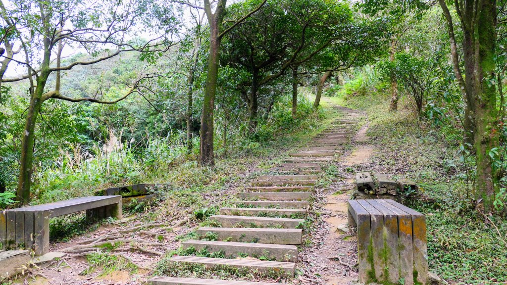 這裡怎麼有兔子還有藍腹鷴?_2663310