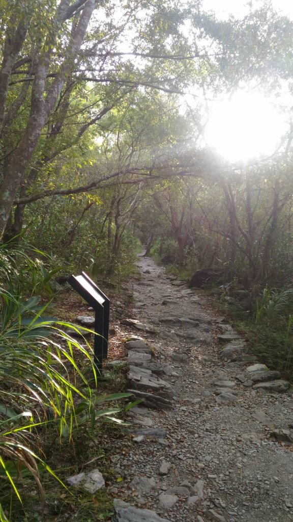 綠水合流步道封面圖