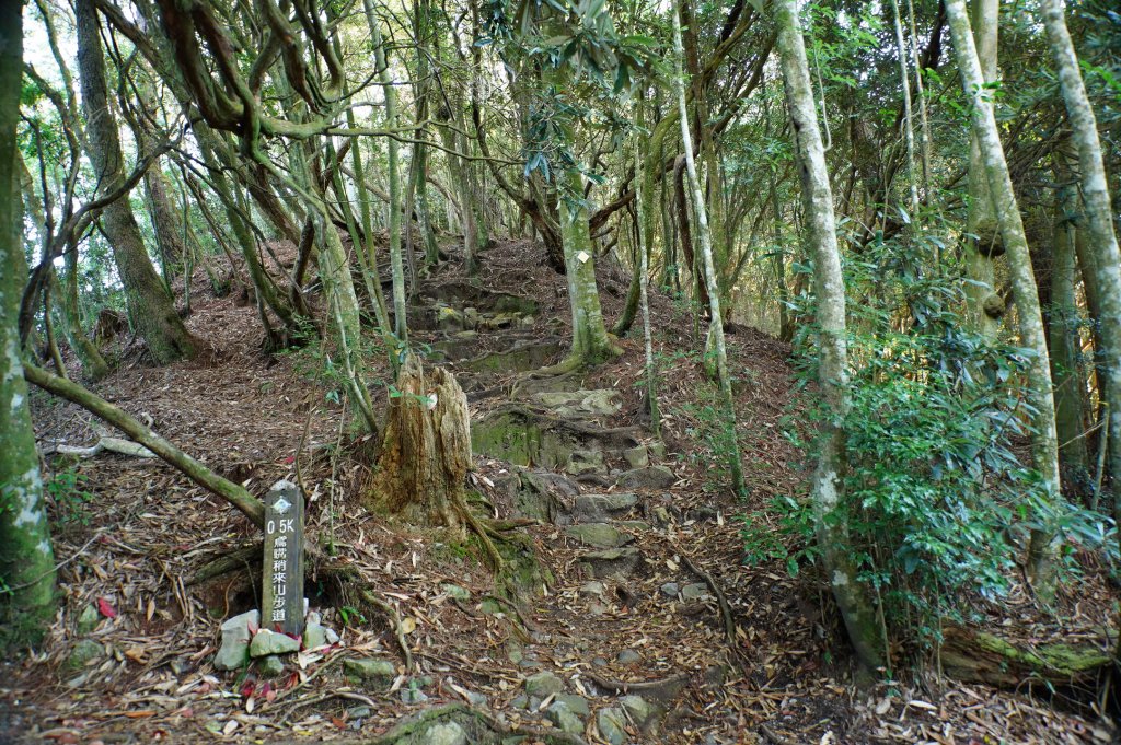 台中 和平 鳶嘴山_2926847