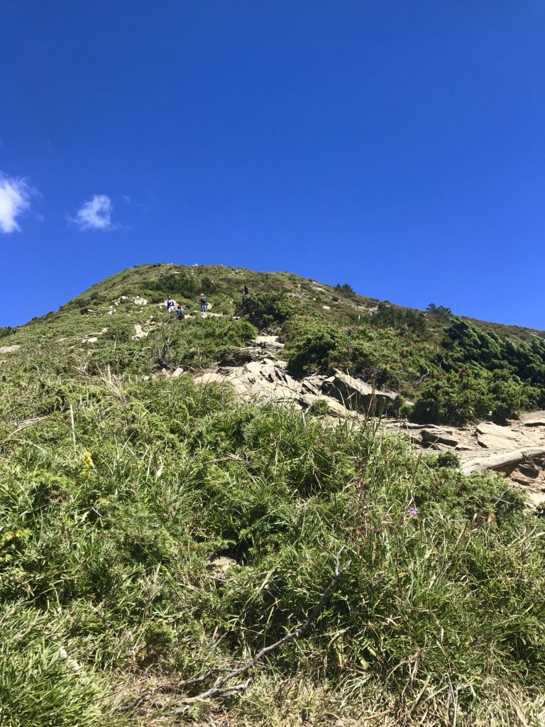 初秋夏末，合歡北峰_165261