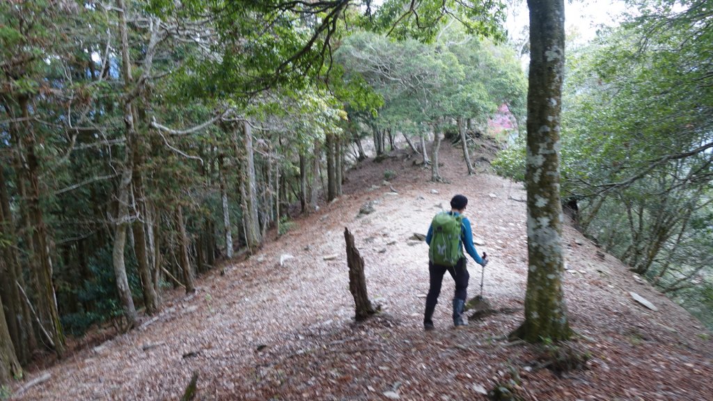 卡社山、拉夫郎西北峰_1616493